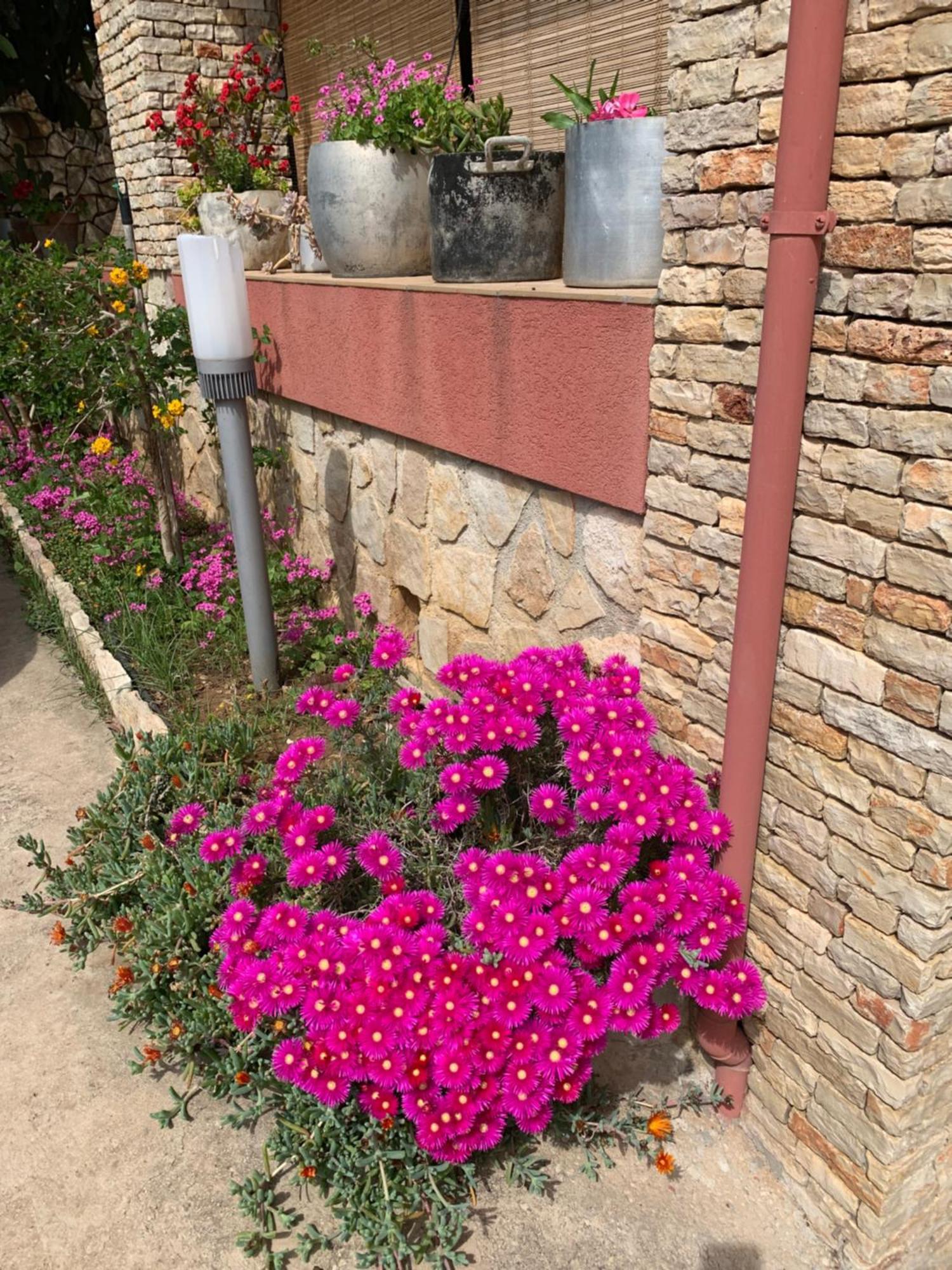 Bed&Breakfast Sole Azzurro Custonaci Esterno foto